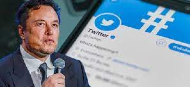 Elon Musk said to begin laying off employees at Twitter: Report