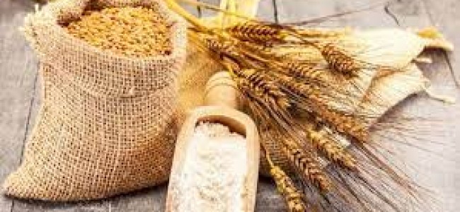 Wheat export ban to continue for now: Goyal