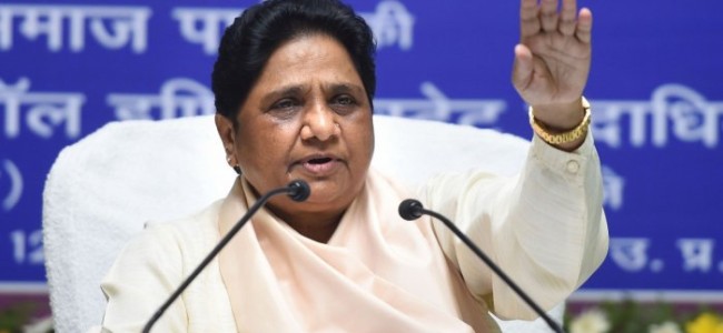 Mayawati again say no alliance with INDIA or NDA