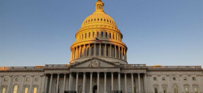 More US senators back ceasefire move in Congress